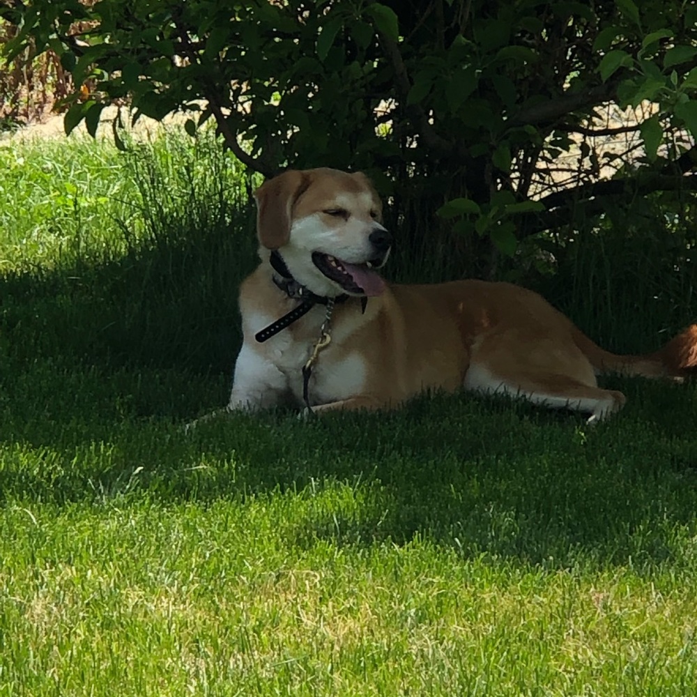 Meet your Posher, Steve